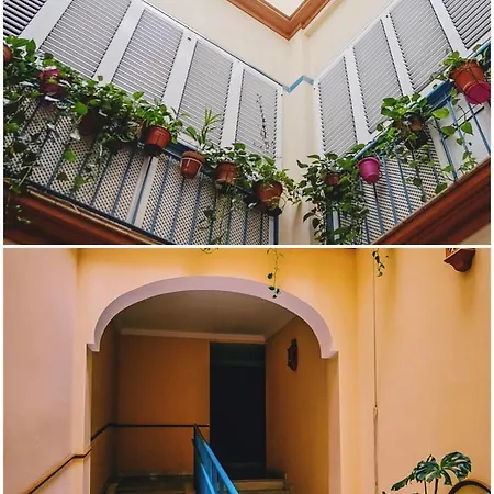 Palacio De Duenas Private Terrace